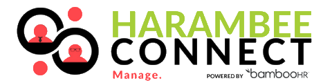 Harambee Youth Employment Accelerator